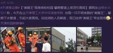 天津高校爆料新闻,揭秘校园风云事件